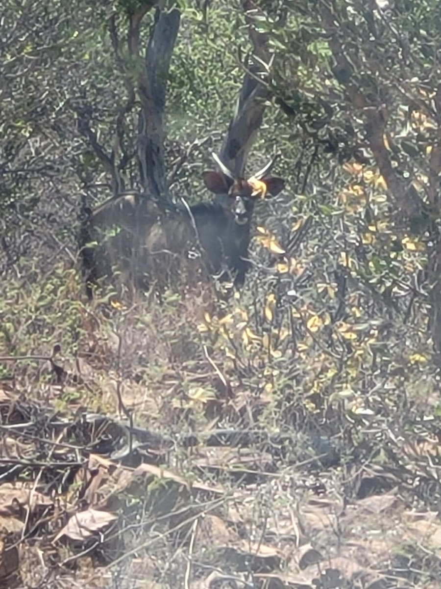 6 Bedroom Property for Sale in Koster North West